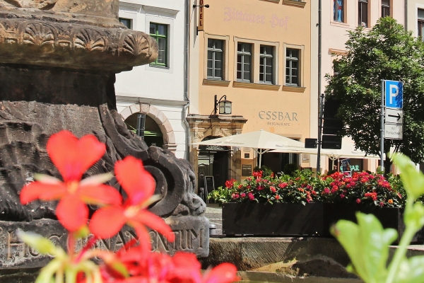 Hotel Zittauer Hof